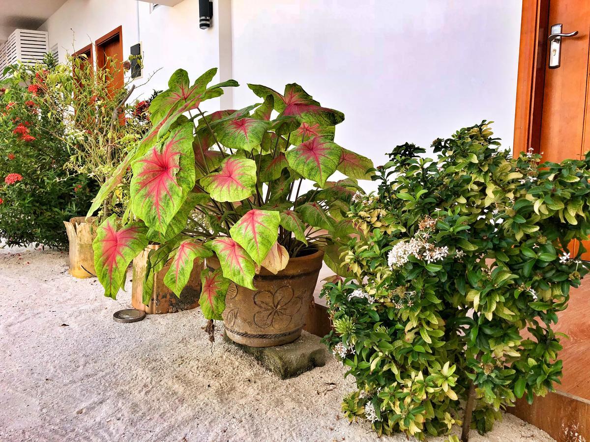 Athiri Beach Maldives Dhigurah  Exterior foto